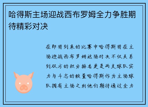 哈得斯主场迎战西布罗姆全力争胜期待精彩对决